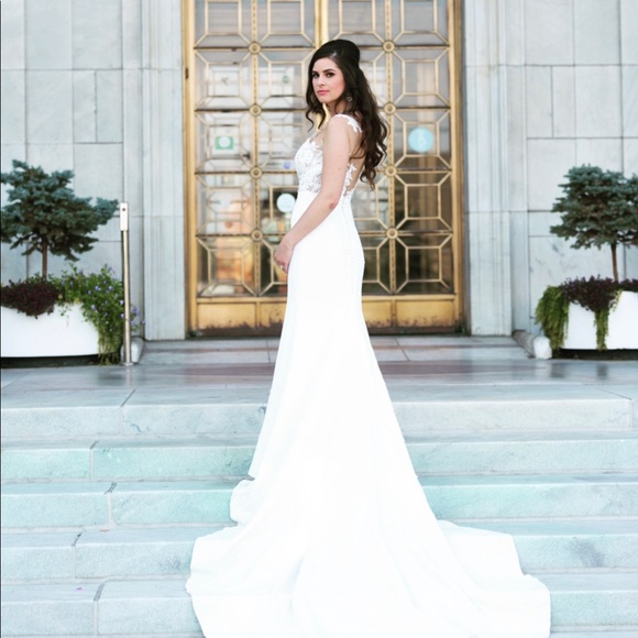 Pronovias VICENTA Wedding Dress